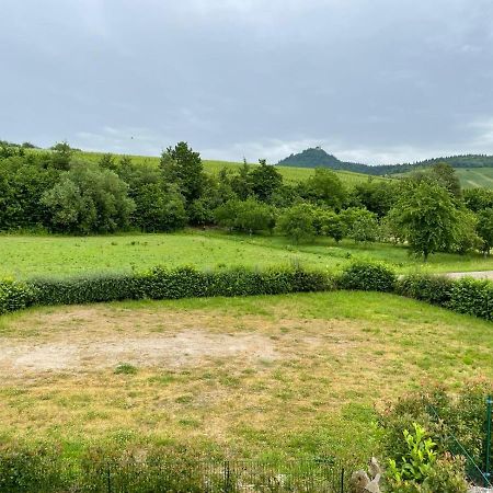 Ferienwohnung Reblandblick Baden-Baden Ngoại thất bức ảnh