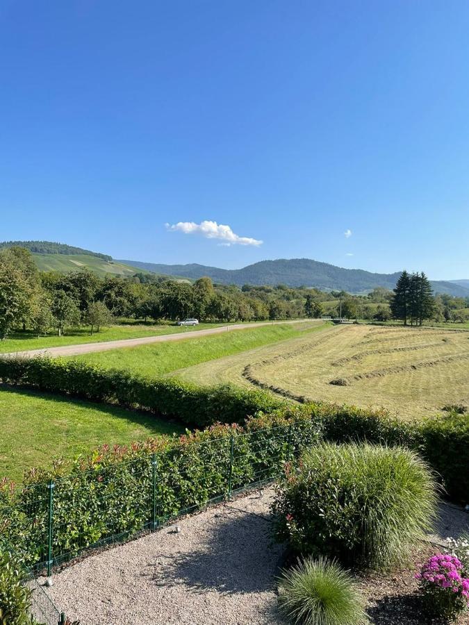 Ferienwohnung Reblandblick Baden-Baden Ngoại thất bức ảnh