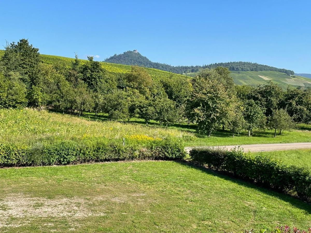 Ferienwohnung Reblandblick Baden-Baden Ngoại thất bức ảnh